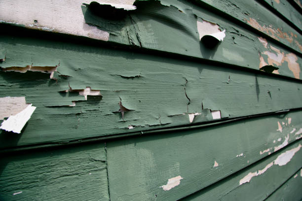 Best Fascia and Soffit Installation  in Dash Point, WA