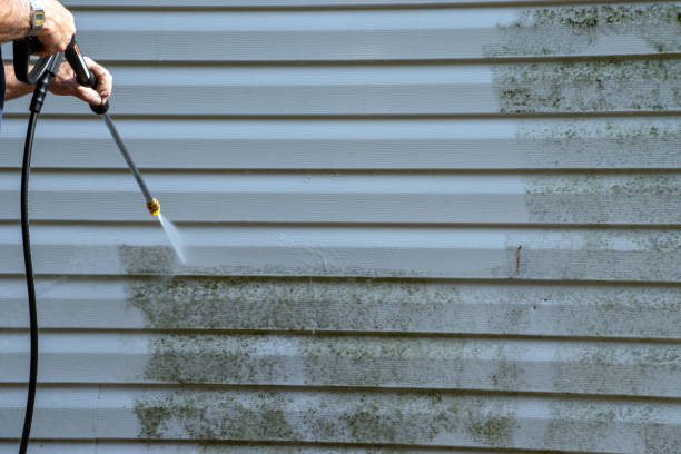 Best Stucco Siding  in Dash Point, WA