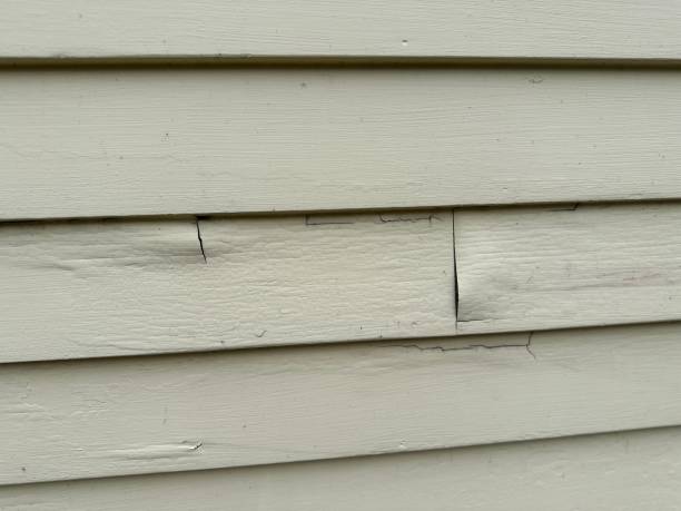Best Custom Trim and Detailing for Siding  in Dash Point, WA